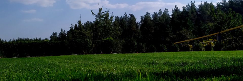 На вершині пагорба